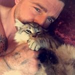  #lifeofcats – animals_of_insta_offical