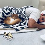  #lovecats – catdaddy_official